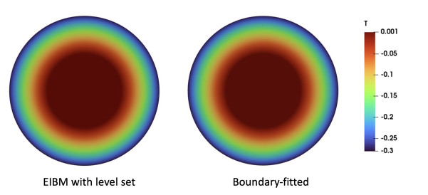 Enriched immersed boundary method for convective conjugate heat ...
