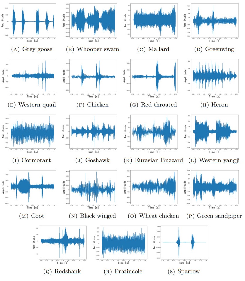 Bird sound recognition using MFCC and NPLDE