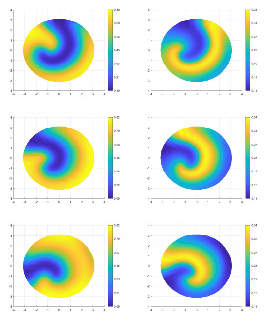 Predary Motor Patterns Pattern dynamics of a predator-prey system with Ivlev-type functional ...