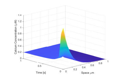 Unraveling the fractional dynamics of calcium ions for the ER and ...