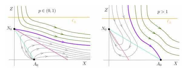 Classification of radial solutions for fully nonlinear equations with ...