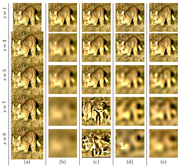 An over complete deep learning method for inverse problems