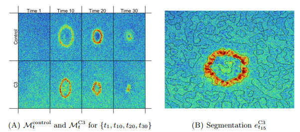 Confidence regions for a persistence diagram of a single image with one ...