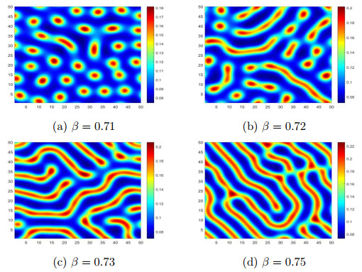 A qualitative analysis of positive steady-state solutions for a mussel ...