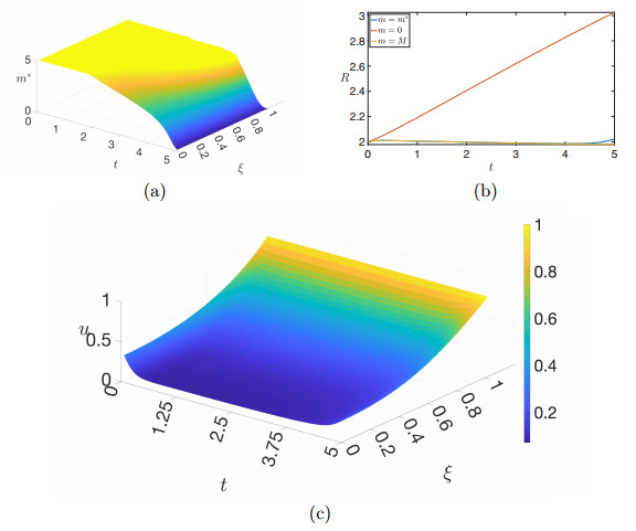 Optimal control for a free boundary tumor growth model