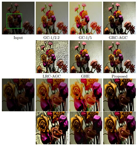 A variational gamma correction model for image contrast enhancement