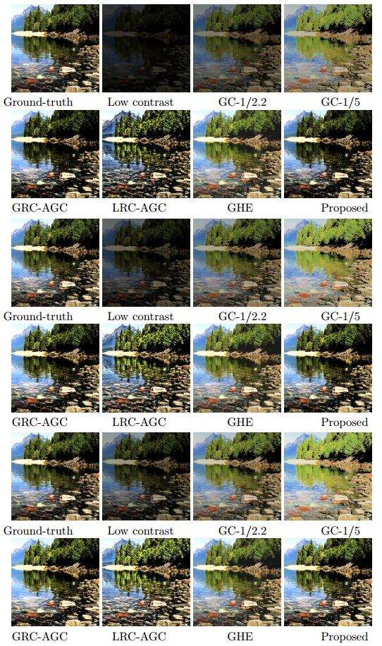 A variational gamma correction model for image contrast enhancement