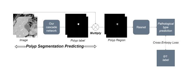 A distance function based cascaded neural network for accurate polyps ...