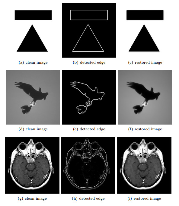 Edge detection based on variational regularization for mixed noise removal