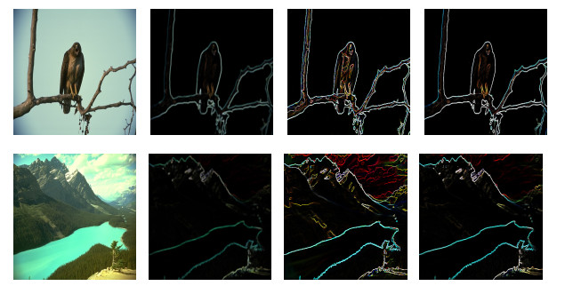 Edge detection based on variational regularization for mixed noise removal