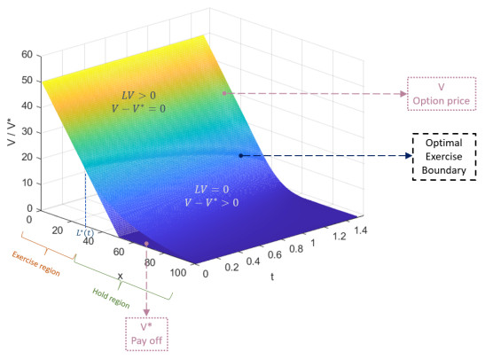 Solving American option optimal control problems in financial markets ...