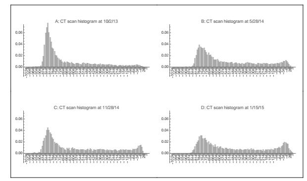 A dynamic model of CT scans for quantifying doubling time of ground ...