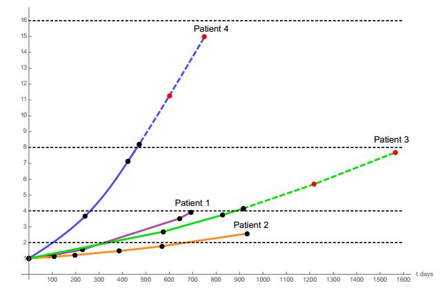 A dynamic model of CT scans for quantifying doubling time of ground ...