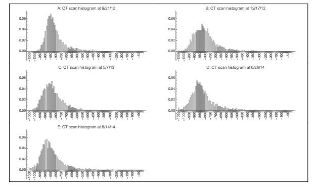 A dynamic model of CT scans for quantifying doubling time of ground ...