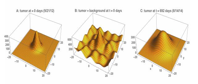 A dynamic model of CT scans for quantifying doubling time of ground ...